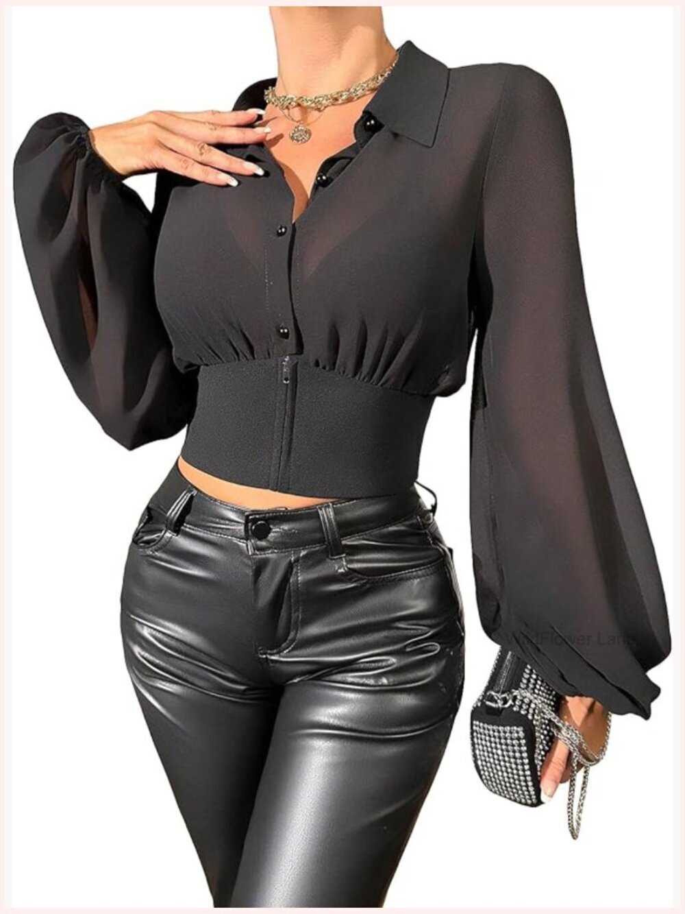 Sheer Mesh Bishop Long Sleeve Crop Top Button Front Club Shirt